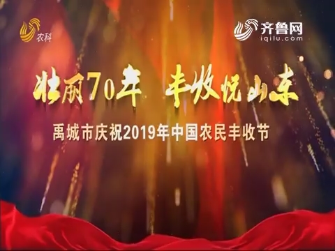 【壮丽70年 丰收悦山东】禹城市庆祝2019年中国农民丰收节
