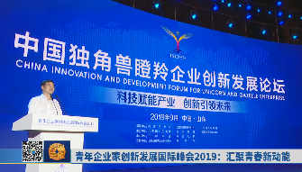 青年企业家创新发展国际峰会2019：汇聚青春新动能《齐鲁金融》20190925播出