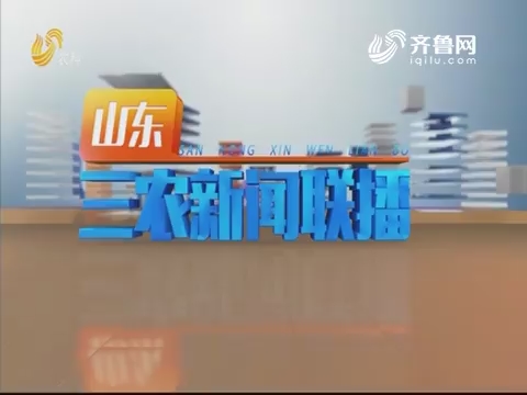 2019年10月04日山东三农新闻联播完整版
