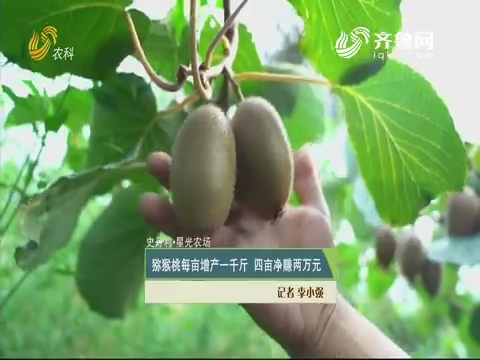 【史丹利·星光农场】猕猴桃每亩增产一千斤 四亩净赚两万元