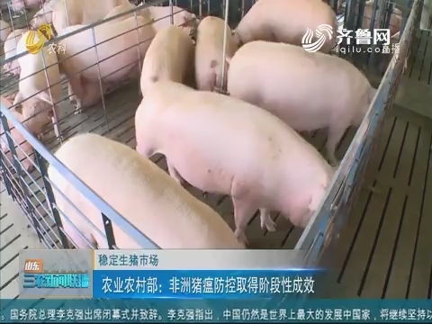 【稳定生猪市场】农业农村部：非洲猪瘟防控取得阶段性成效