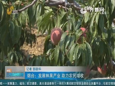 【助力乡村振兴】烟台：发展林果产业 助力农民增收