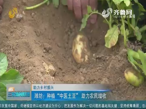 【助力乡村振兴】潍坊：种植“中医土豆” 助力农民增收