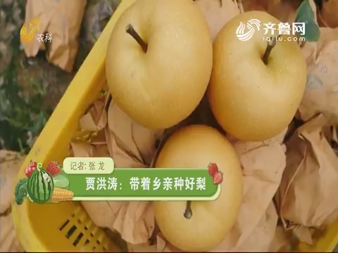 贾洪涛：带着乡亲种好梨