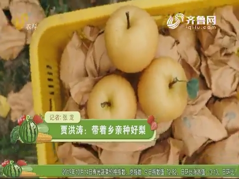 贾洪涛：带着乡亲种好梨