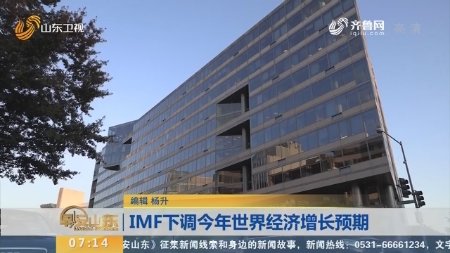 IMF下调2019年世界经济增长预期