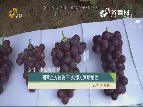 【众德 种地好榜样】葡萄全方位测产 众德方案助增收