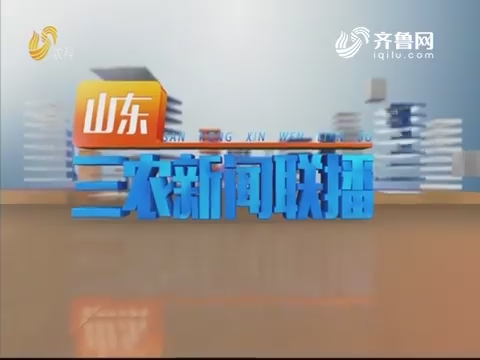 2019年10月18日山东三农新闻联播完整版