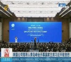 跨国公司领导人青岛峰会开幕 国家主席习近平致贺信