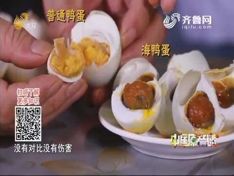 20191021《中国原产递》：海鸭蛋