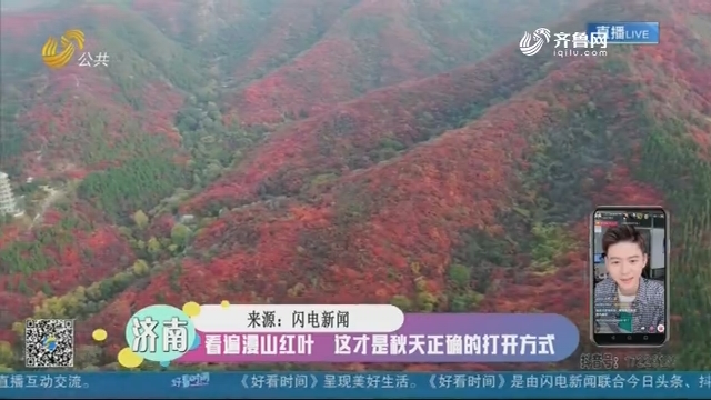 【融媒朋友圈】看遍漫山红叶 这才是秋天正确的打开方式
