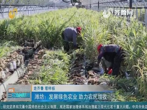 【走齐鲁 看样板】潍坊：发展绿色农业 助力农民增收