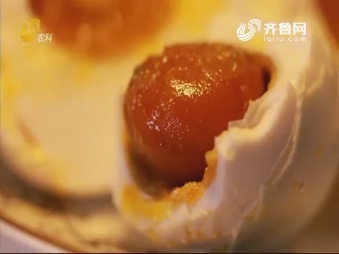 20191025《中国原产递》：海鸭蛋