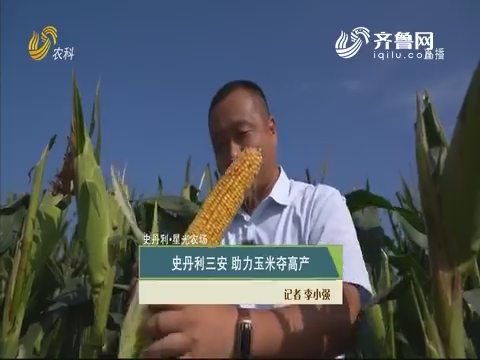 【史丹利·星光农场】史丹利三安 助力玉米夺高产