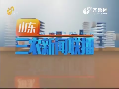 2019年10月28日山东三农新闻联播完整版