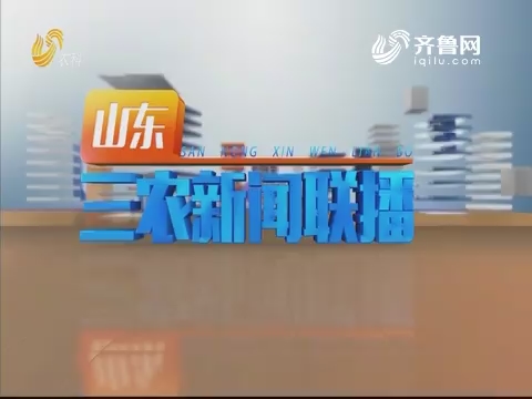 2019年10月29日山东三农新闻联播完整版