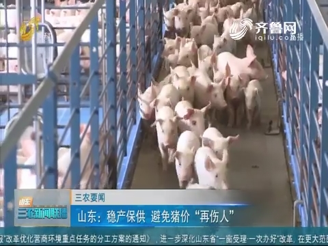 【三农要闻】山东：稳产保供 避免猪价“再伤人”
