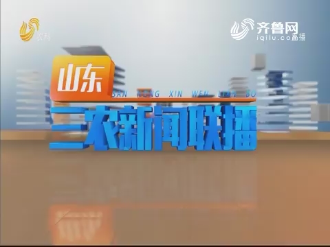 2019年11月01日山东三农新闻联播完整版