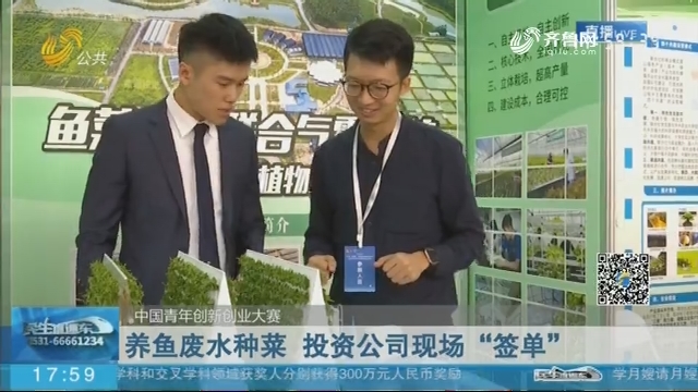 【中国青年创新创业大赛】青岛：养鱼废水种菜 投资公司现场“签单”