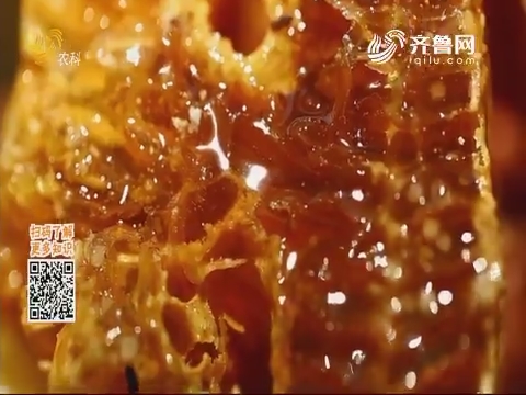 20191103《中国原产递》：土蜂蜜