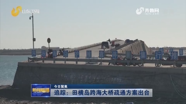 【今日聚焦】追踪：田横岛跨海大桥疏通方案出台