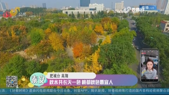 【融媒朋友圈】泰安：秋水共长天一色 桃都秋色最宜人