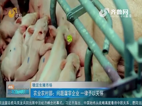 【稳定生猪市场】农业农村部：问题屠宰企业 一律予以关停