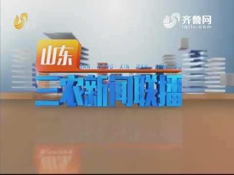 2019年11月06日山东三农新闻联播完整版