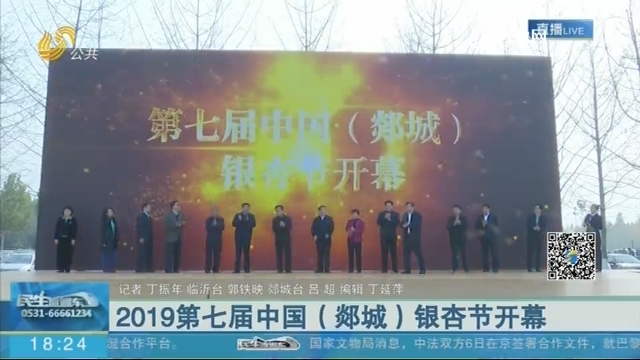 2019第七届中国（郯城）银杏节开幕
