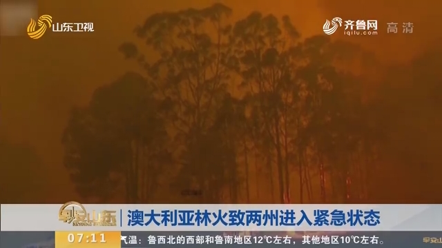 澳大利亚林火致两州进入紧急状态