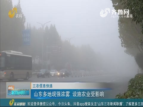 【三农信息快递】山东多地现强浓雾 设施农业受影响