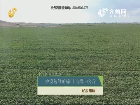 【史丹利·星光农场】沙漠边缘的棉田 亩增50公斤