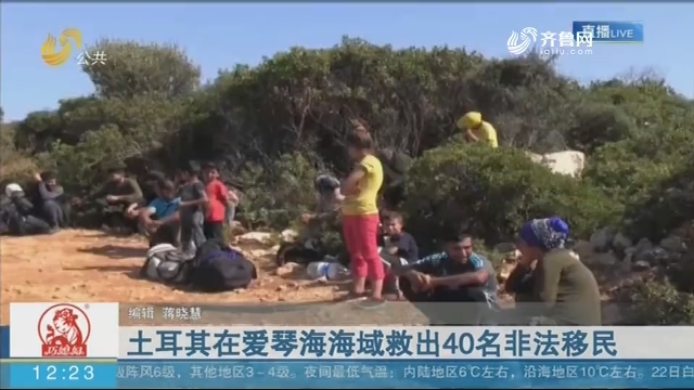 土耳其在爱琴海海域救出40名非法移民