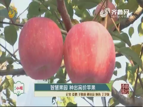 【直播乡村】智慧果园 种出高价苹果