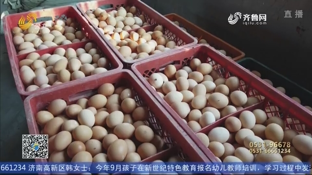 【问政山东】饲料添加剂里偷加抗生素 百吨鸡蛋被销毁