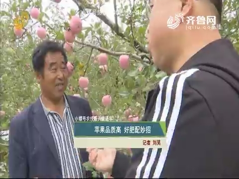 【小螺号农技服务直通车】苹果品质高 好肥配妙招