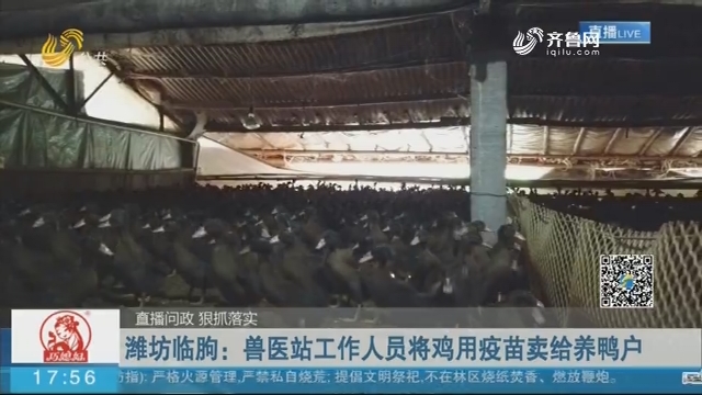 潍坊临朐：兽医站工作人员将鸡用疫苗卖给养鸭户