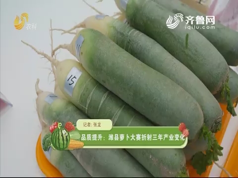 品质提升：潍县萝卜大赛折射三年产业变化