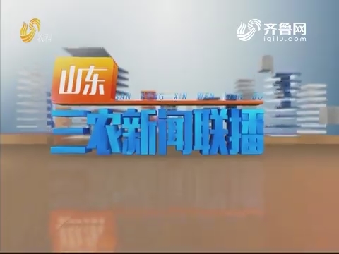 2019年11月29日山东三农新闻联播完整版