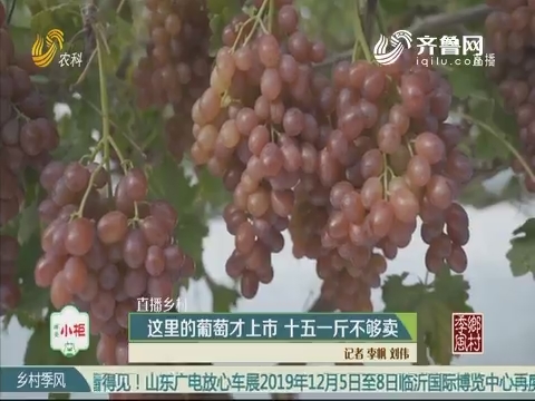 【直播乡村】这里的葡萄才上市 十五一斤不够卖