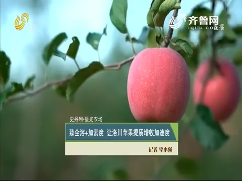 【史丹利·星光农场】臻全溶+加素度 让洛川苹果提质增收加速度