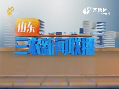 2019年12月05日山东三农新闻联播完整版