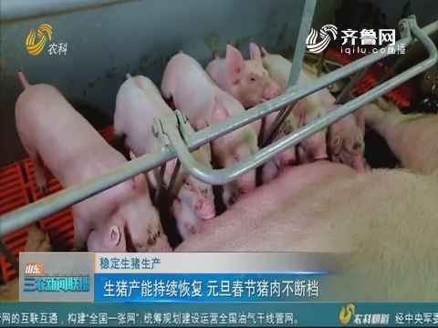【稳定生猪生产】生猪产能持续恢复 元旦春节猪肉不断档