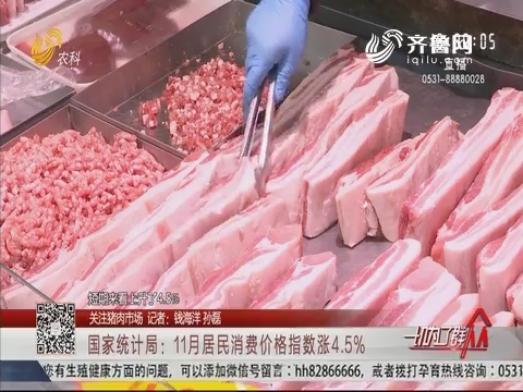 【关注猪肉市场】国家统计局：11月居民消费价格指数涨4.5%