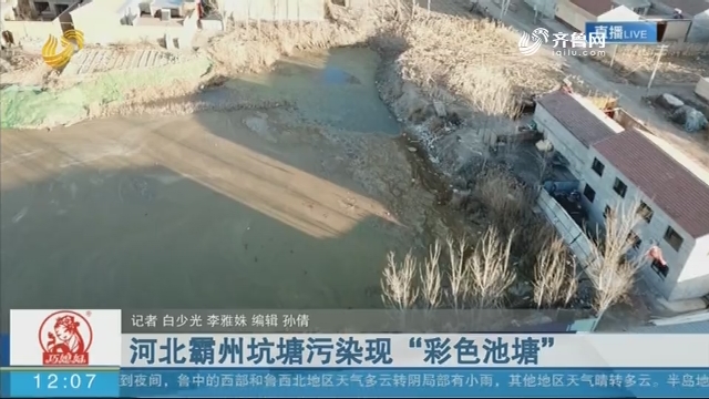 【现场报道】河北霸州坑塘污染现“彩色池塘”