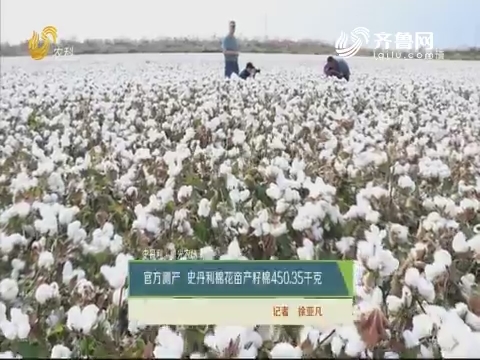 【史丹利·星光农场】官方测产 史丹利棉花亩产籽棉450.35千克