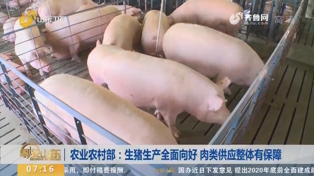 【闪电新闻排行榜】农业农村部：生猪生产全面向好 肉类供应整体有保障