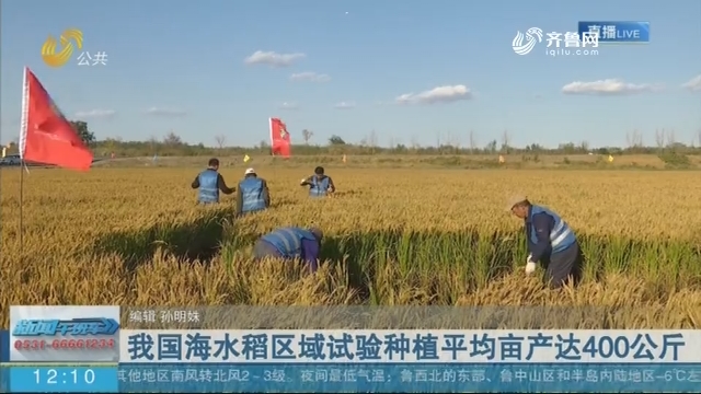 亩产达400公斤 袁隆平：我国海水稻种植领先世界