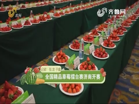 全国精品草莓擂台赛济南开赛