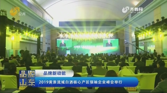 【品牌新动能】2019黄淮流域白酒核心产区领袖企业峰会举行